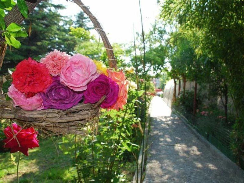 Trakia Garden